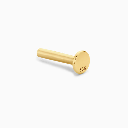 Timeless Gold Earrings