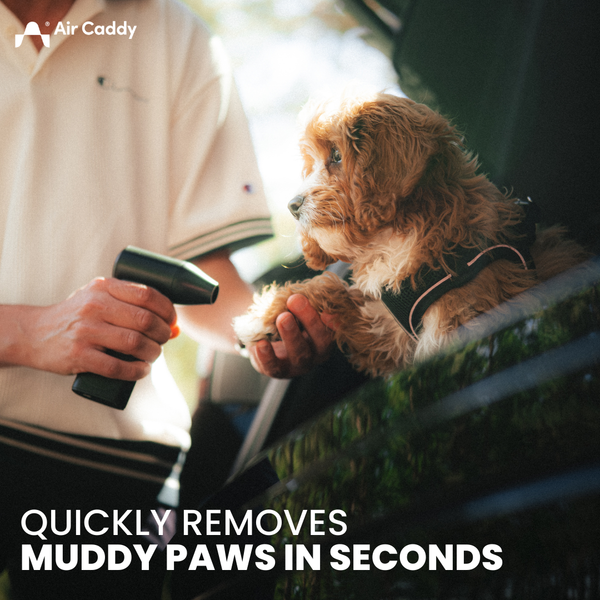 Air Caddy Pro Cleaner
